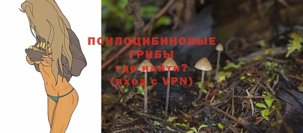 apvp Алексин